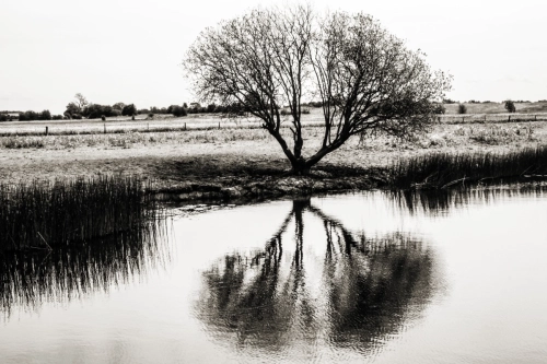 Sarah-Nordemann-photography-special-Item-No.2015